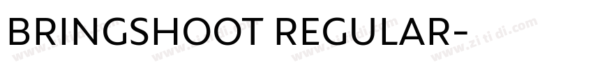 BRINGSHOOT REGULAR字体转换